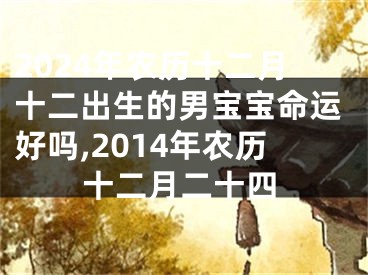 2024年农历十二月十二出生的男宝宝命运好吗,2014年农历十二月二十四