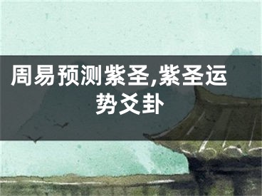 周易预测紫圣,紫圣运势爻卦