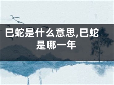 巳蛇是什么意思,巳蛇是哪一年