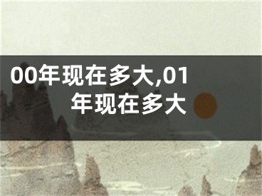 00年现在多大,01年现在多大