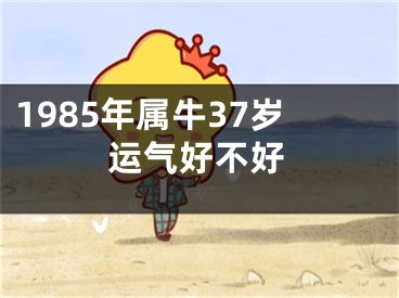 1985年属牛37岁运气好不好