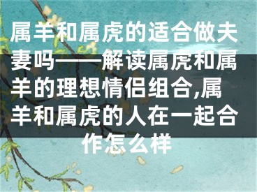 属羊和属虎的适合做夫妻吗——解读属虎和属羊的理想情侣组合,属羊和属虎的人在一起合作怎么样