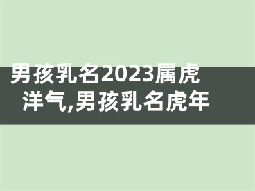男孩乳名2023属虎洋气,男孩乳名虎年