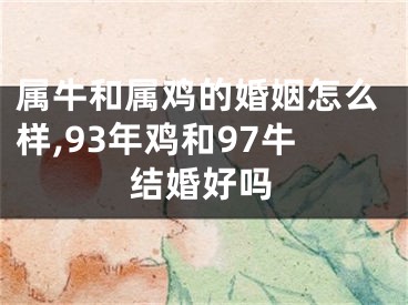 属牛和属鸡的婚姻怎么样,93年鸡和97牛结婚好吗