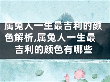 属兔人一生最吉利的颜色解析,属兔人一生最吉利的颜色有哪些