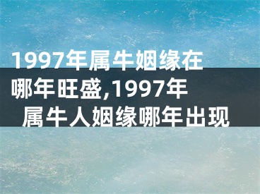 1997年属牛姻缘在哪年旺盛,1997年属牛人姻缘哪年出现