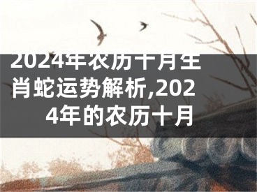 2024年农历十月生肖蛇运势解析,2024年的农历十月