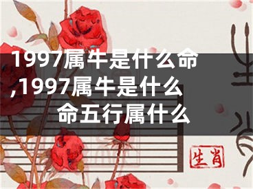 1997属牛是什么命,1997属牛是什么命五行属什么