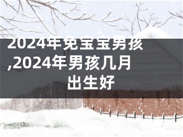 2024年免宝宝男孩,2024年男孩几月出生好