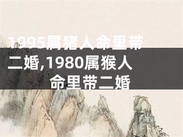 1995属猪人命里带二婚,1980属猴人命里带二婚