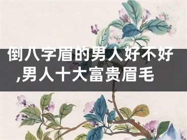 倒八字眉的男人好不好,男人十大富贵眉毛