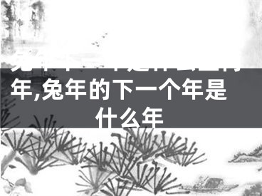 兔年下一年是什么生肖年,兔年的下一个年是什么年