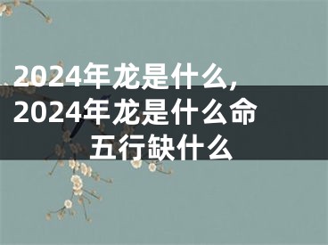 2024年龙是什么,2024年龙是什么命五行缺什么