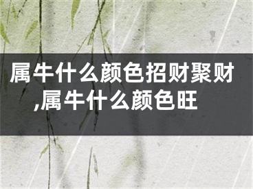 属牛什么颜色招财聚财,属牛什么颜色旺