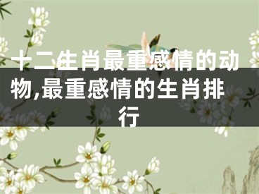 十二生肖最重感情的动物,最重感情的生肖排行