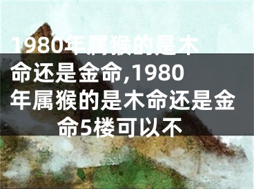 1980年属猴的是木命还是金命,1980年属猴的是木命还是金命5楼可以不