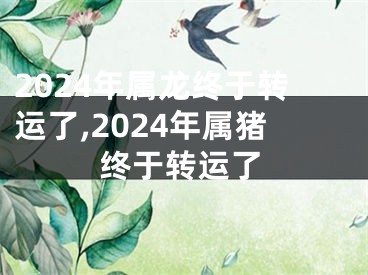 2024年属龙终于转运了,2024年属猪终于转运了