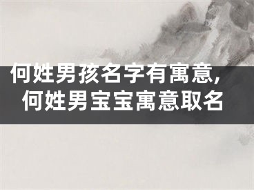 何姓男孩名字有寓意,何姓男宝宝寓意取名
