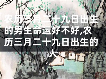 农历三月二十九日出生的男生命运好不好,农历三月二十九日出生的人