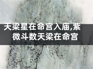 天梁星在命宫入庙,紫微斗数天梁在命宫