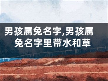 男孩属兔名字,男孩属兔名字里带水和草