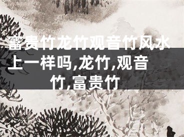 富贵竹龙竹观音竹风水上一样吗,龙竹,观音竹,富贵竹