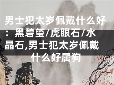 男士犯太岁佩戴什么好：黑碧玺/虎眼石/水晶石,男士犯太岁佩戴什么好属狗