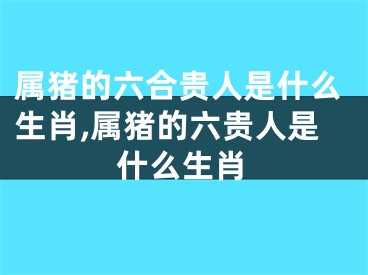 属猪的六合贵人是什么生肖,属猪的六贵人是什么生肖
