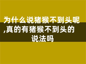 为什么说猪猴不到头呢,真的有猪猴不到头的说法吗