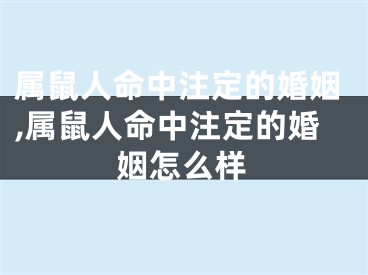 属鼠人命中注定的婚姻,属鼠人命中注定的婚姻怎么样