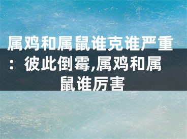 属鸡和属鼠谁克谁严重：彼此倒霉,属鸡和属鼠谁厉害