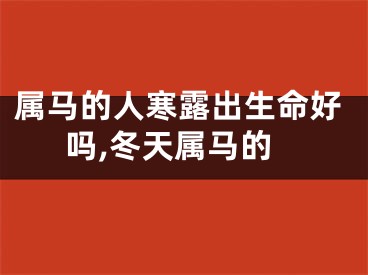 属马的人寒露出生命好吗,冬天属马的