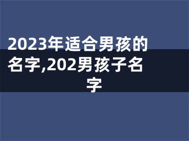 2023年适合男孩的名字,202男孩子名字