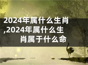 2024年属什么生肖,2024年属什么生肖属于什么命