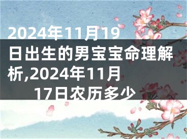 2024年11月19日出生的男宝宝命理解析,2024年11月17日农历多少