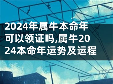 2024年属牛本命年可以领证吗,属牛2024本命年运势及运程