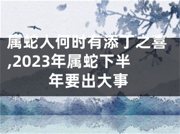 属蛇人何时有添丁之喜,2023年属蛇下半年要出大事