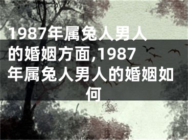 1987年属兔人男人的婚姻方面,1987年属兔人男人的婚姻如何