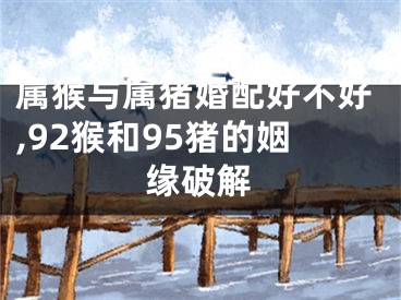 属猴与属猪婚配好不好,92猴和95猪的姻缘破解