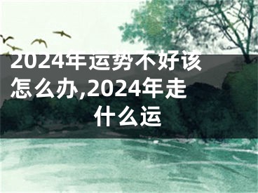 2024年运势不好该怎么办,2024年走什么运