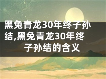 黑兔青龙30年终子孙结,黑兔青龙30年终子孙结的含义