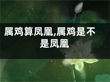 属鸡算凤凰,属鸡是不是凤凰