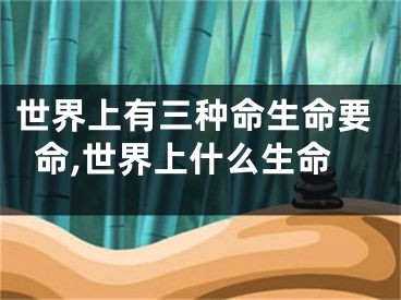 世界上有三种命生命要命,世界上什么生命