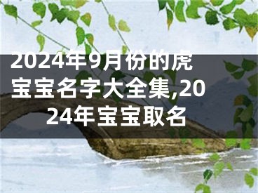 2024年9月份的虎宝宝名字大全集,2024年宝宝取名
