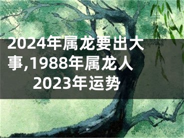 2024年属龙要出大事,1988年属龙人2023年运势