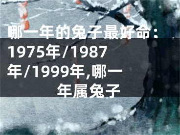 哪一年的兔子最好命：1975年/1987年/1999年,哪一年属兔子