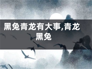 黑兔青龙有大事,青龙 黑兔