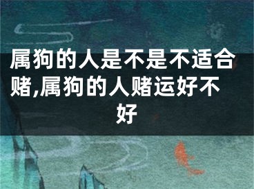 属狗的人是不是不适合赌,属狗的人赌运好不好