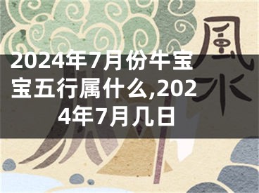 2024年7月份牛宝宝五行属什么,2024年7月几日