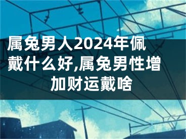 属兔男人2024年佩戴什么好,属兔男性增加财运戴啥